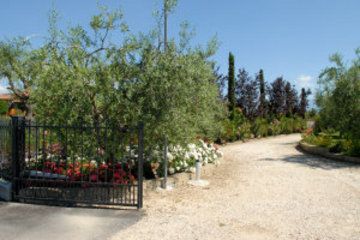 Locanda Da Vittorio