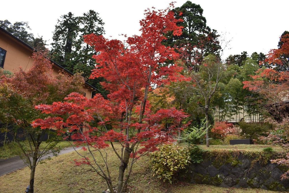 Hakone Suishoen