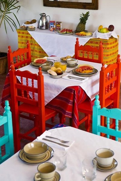 Elements Holbox