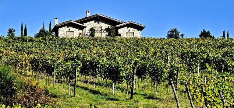 Valdonica Winery & Vineyard Residence