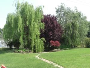 Bed and Breakfast Il Vigneto