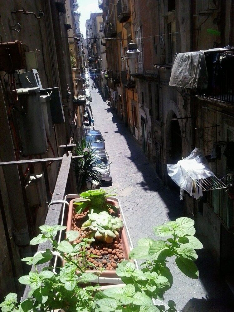 La Casa Di Roselin