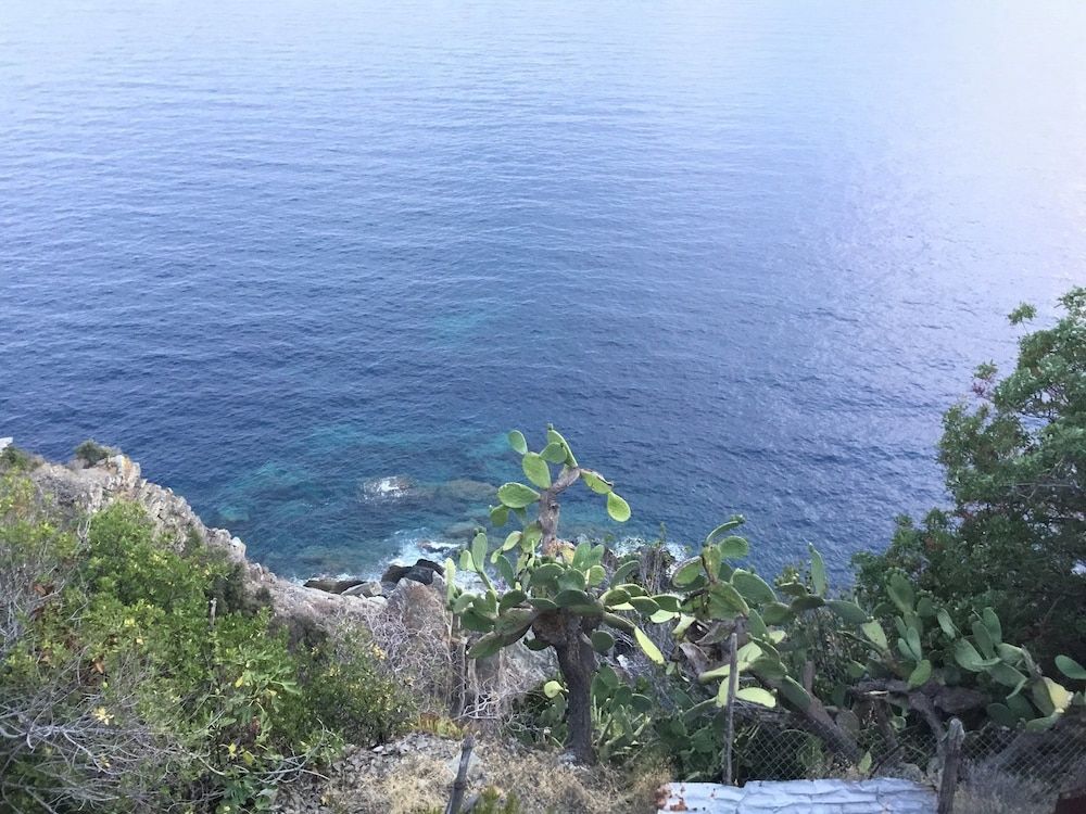 Lecci Di Soviore