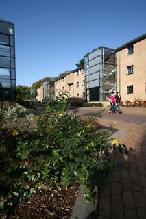 Queen's University Belfast, Elms Village