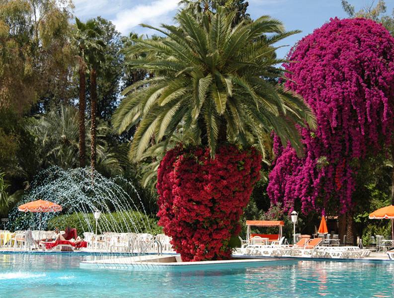 Es Saadi Marrakech Resort