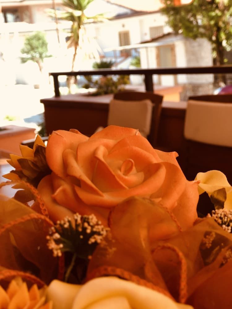Armonia B&B