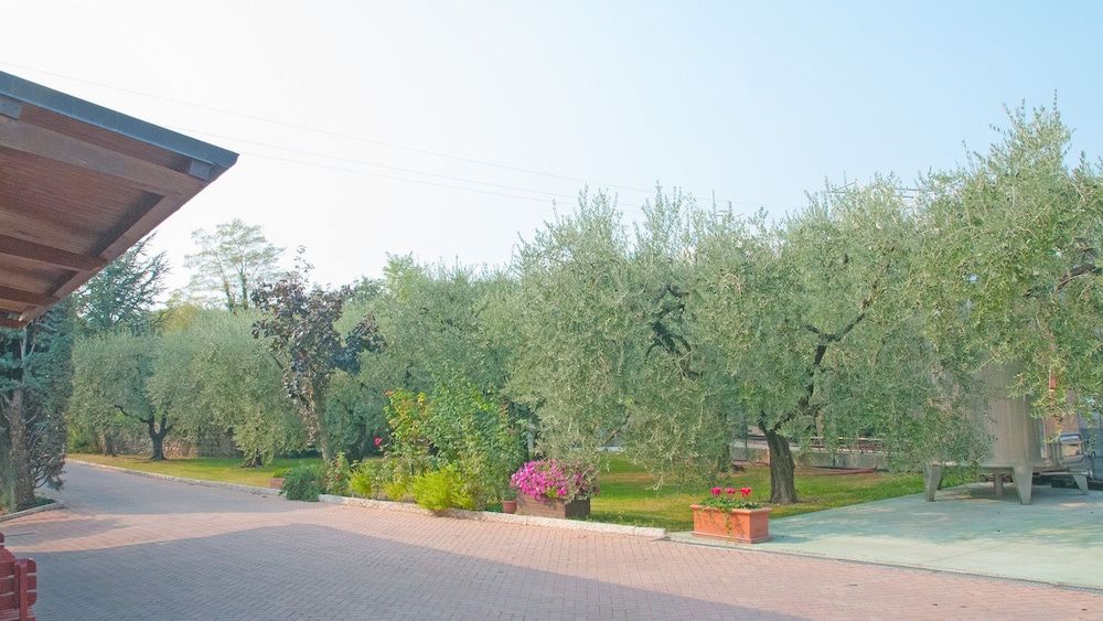 Agriturismo Monte Oliveto