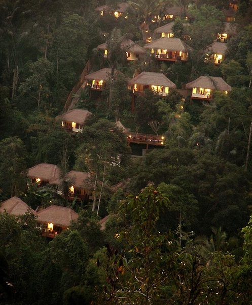 Nandini Jungle by Hanging Gardens