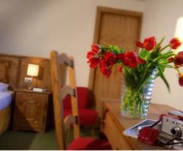Hotel Ander