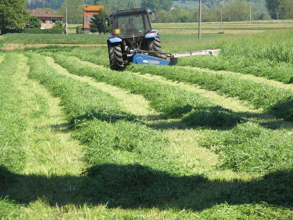 Fattoria Di Marena