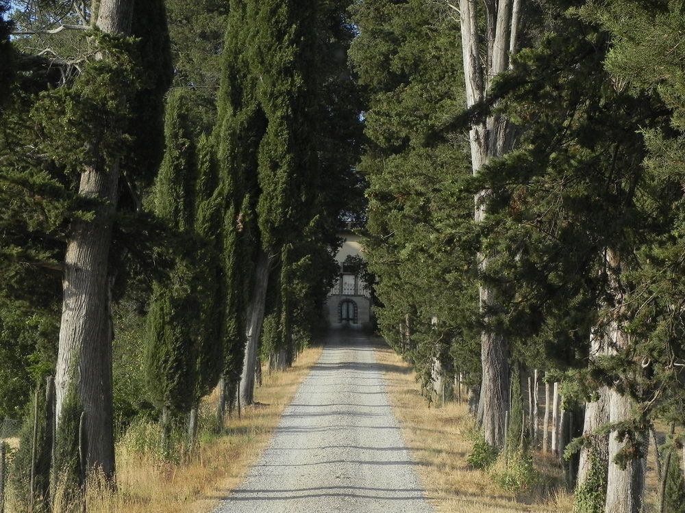 Fattoria Di Marena
