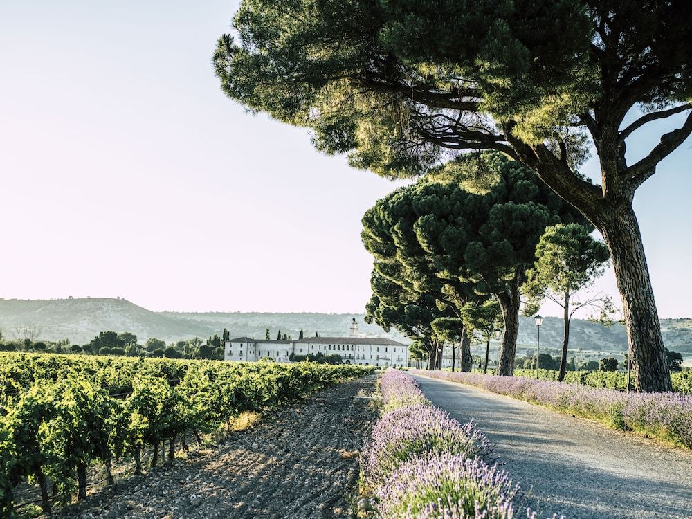Hotel Abadía Retuerta Le Domaine