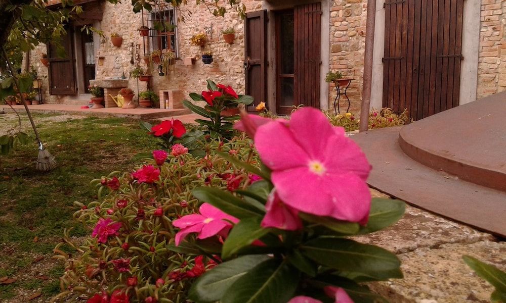 Bed & Breakfast Podere Montagione