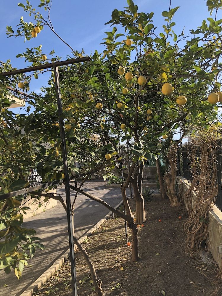 B&B Il Giardino Di Nonno Agostino