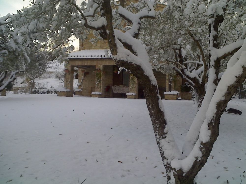 B&B La Casa delle Rondini