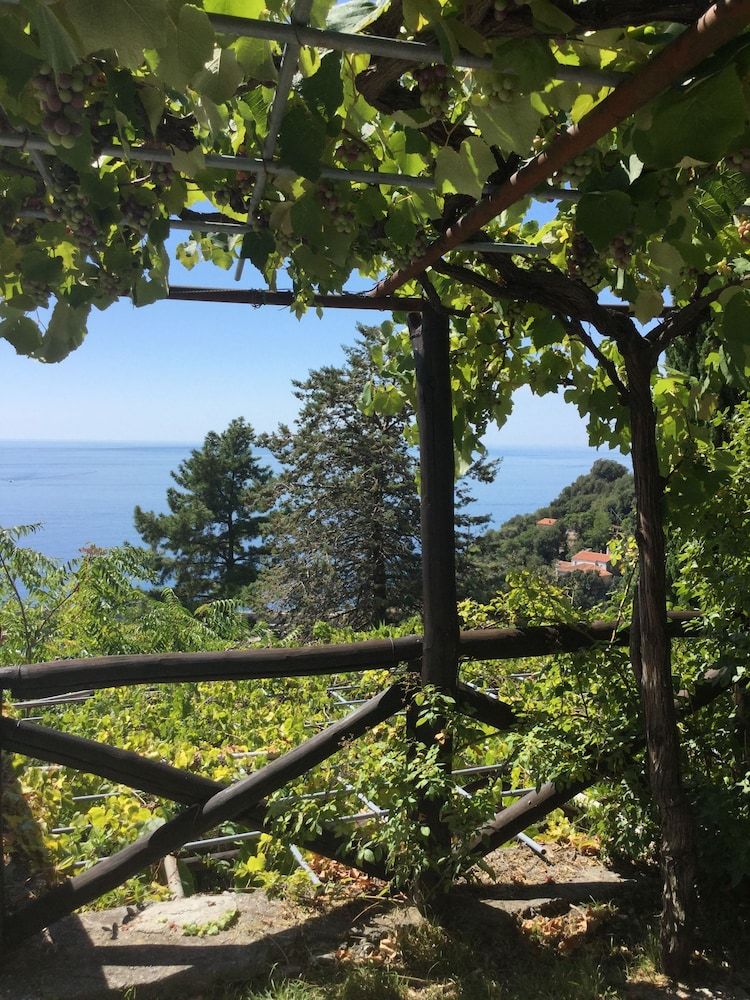 B&B Le Tre Casette