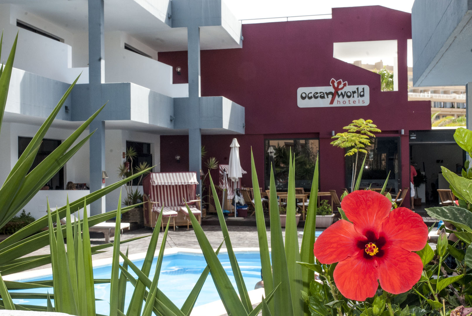 Saladar Suites Boutique