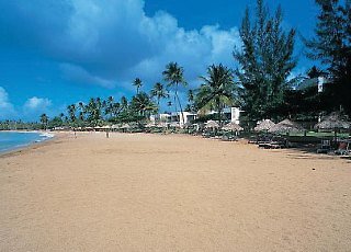 Starfish Tobago