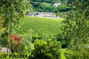 Azienda Agricola Ca' Piadera