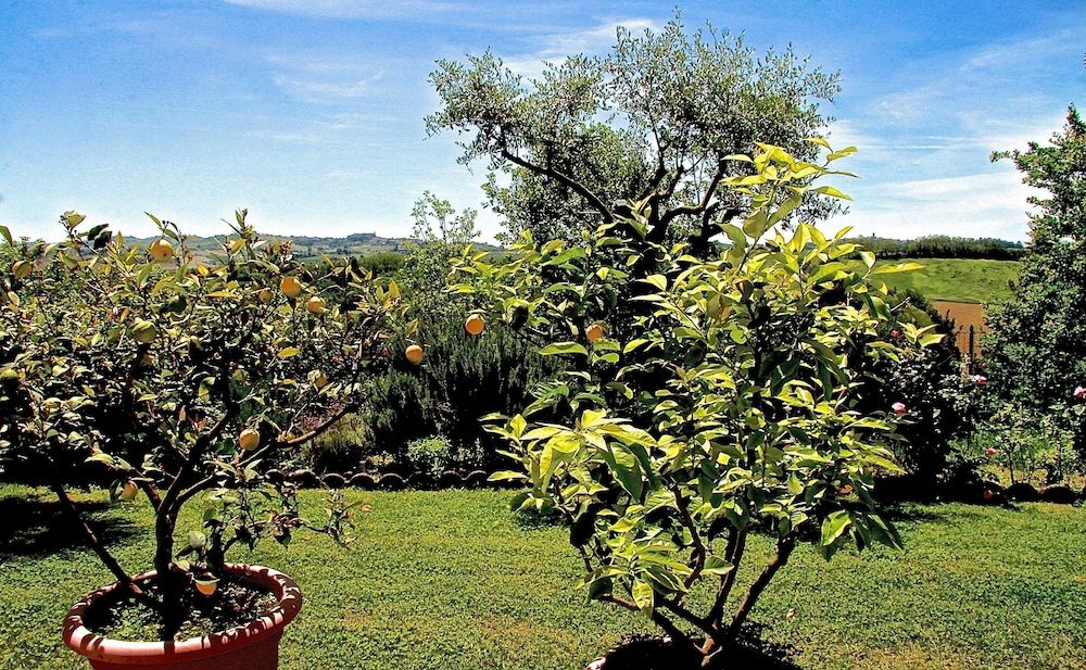 B&B Carletto