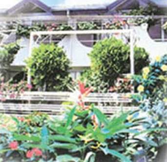 Alicia´s House Limited