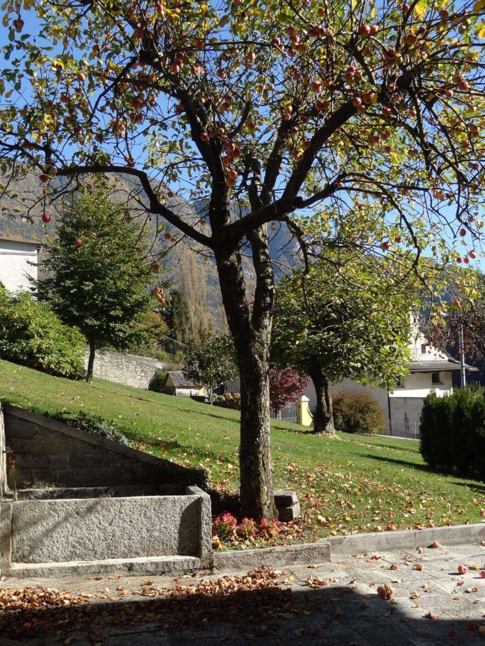 B&B Dell'antica Osteria