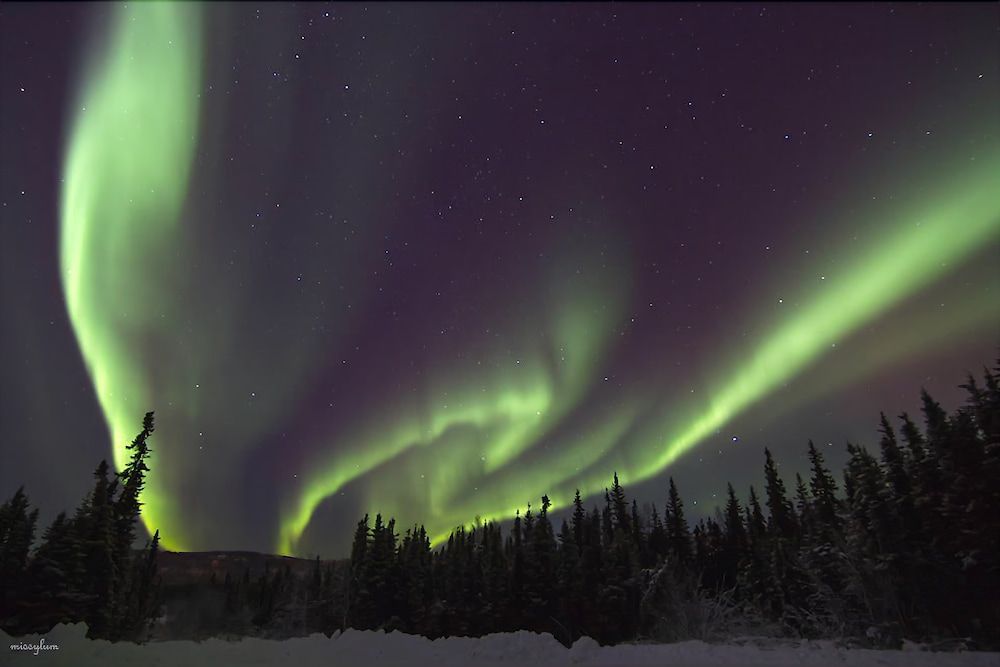 Alaska Haven