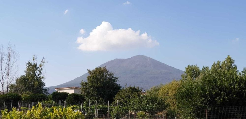 Villa Mirto