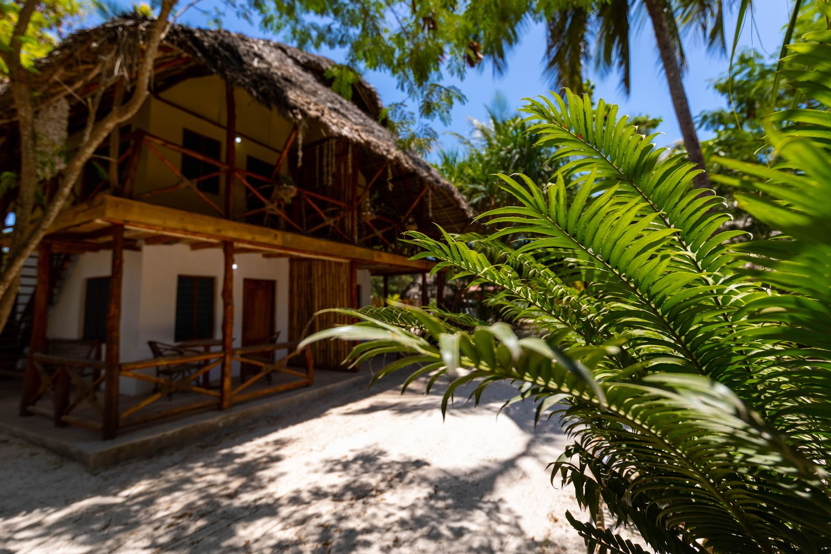 Eden Paradise