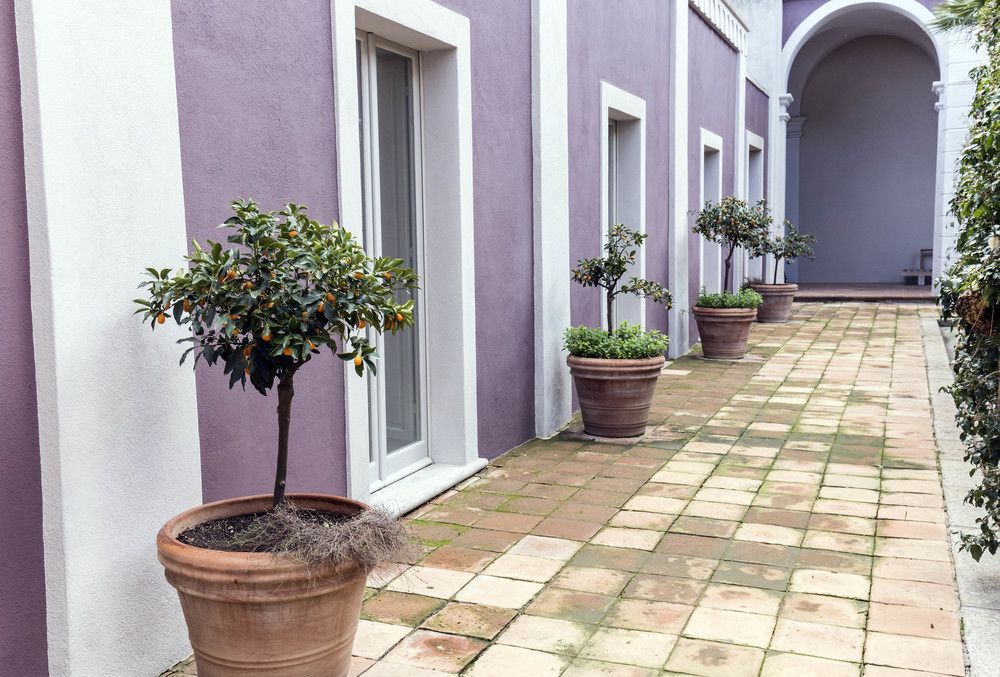 Villa Paola
