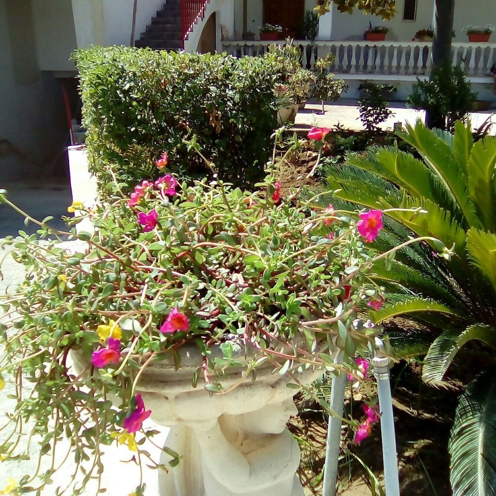 Villa Amalia