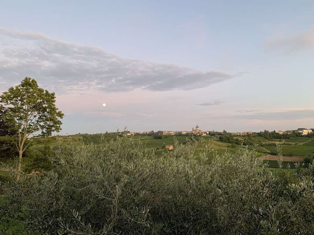 Laficaia