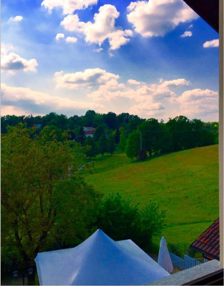 Hotel La Fertè