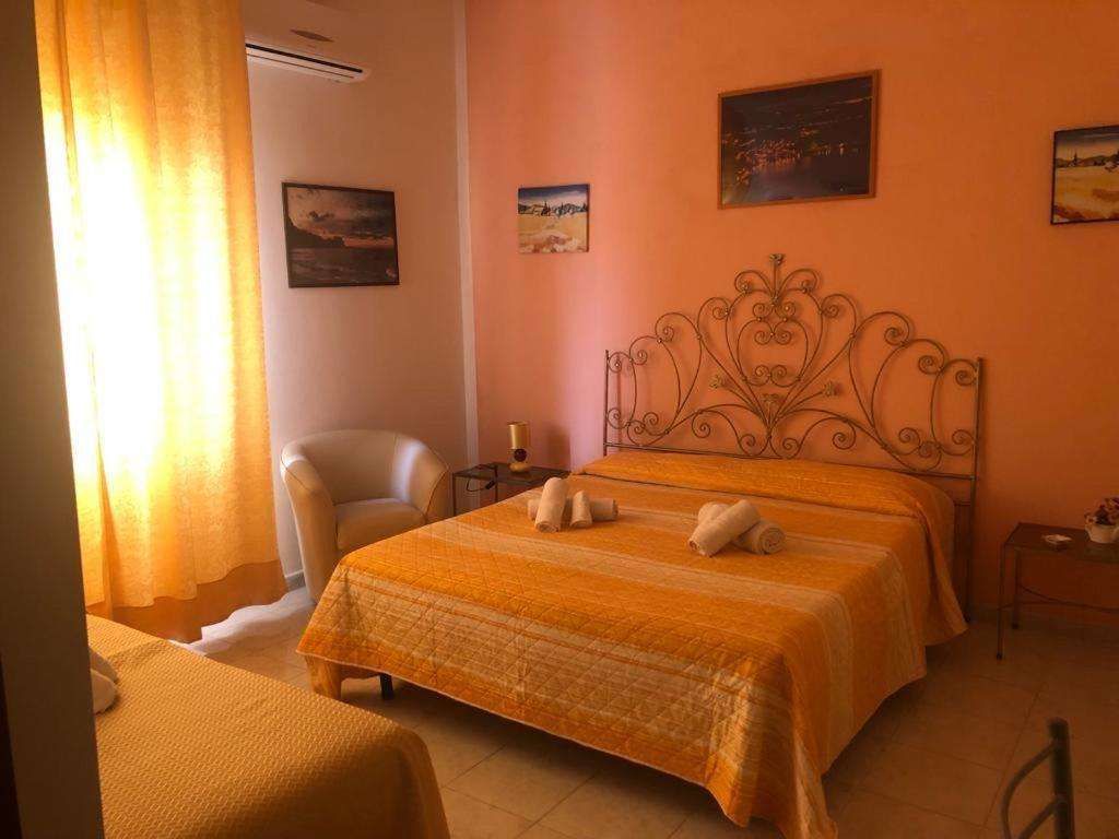 B&B Avinedda