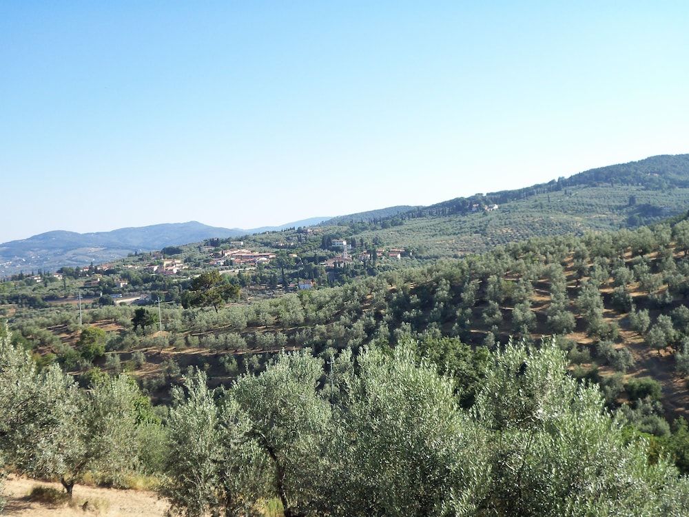 Agriturismo il Colle