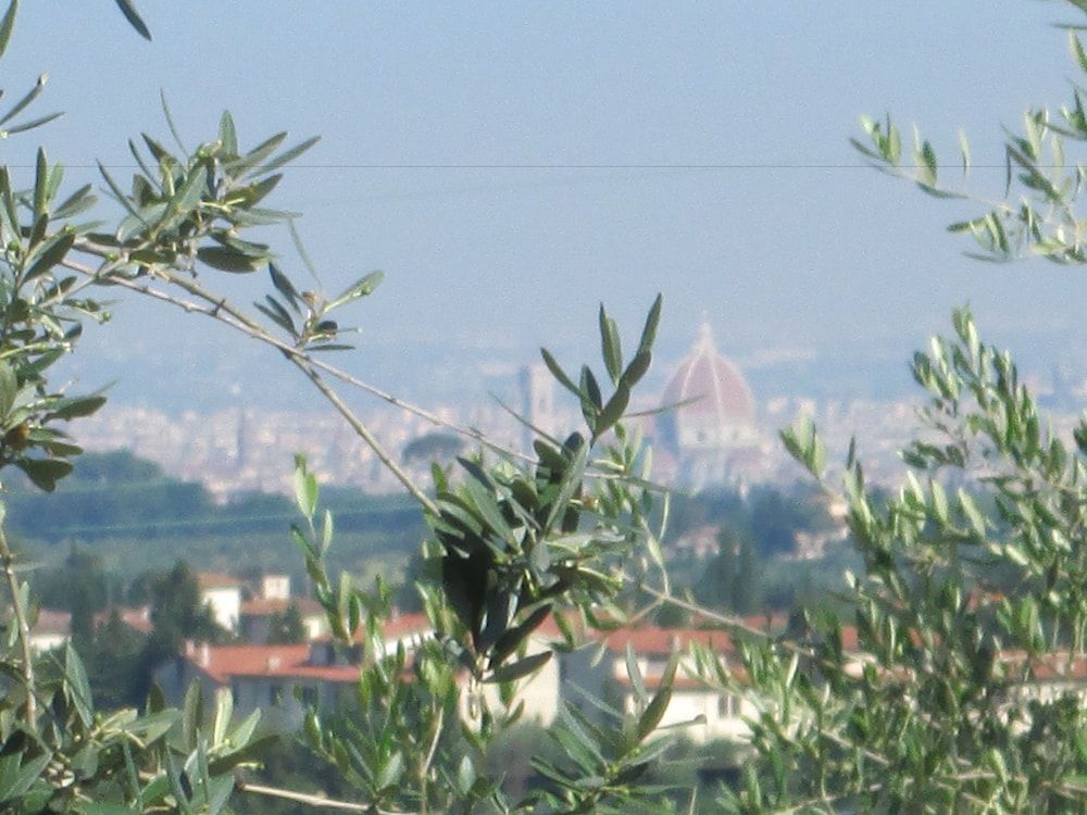 Agriturismo il Colle