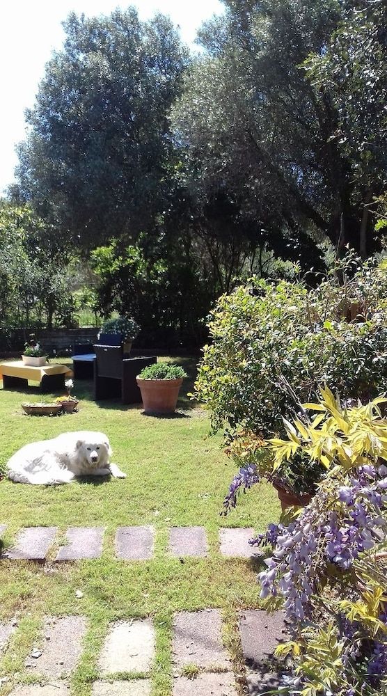 B&B Su Narboni Mannu