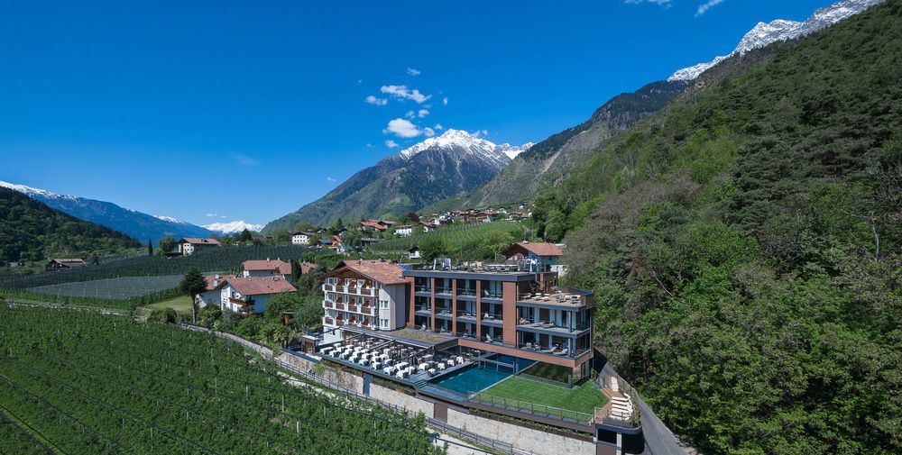 Hotel Avidea
