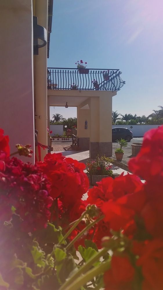 Villa Laura Apartment