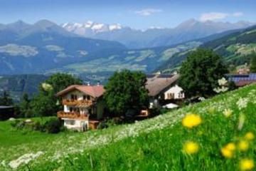 SUMMERER - Living Nature - Apartments with private SPA