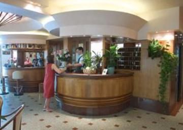 Hotel Mayer