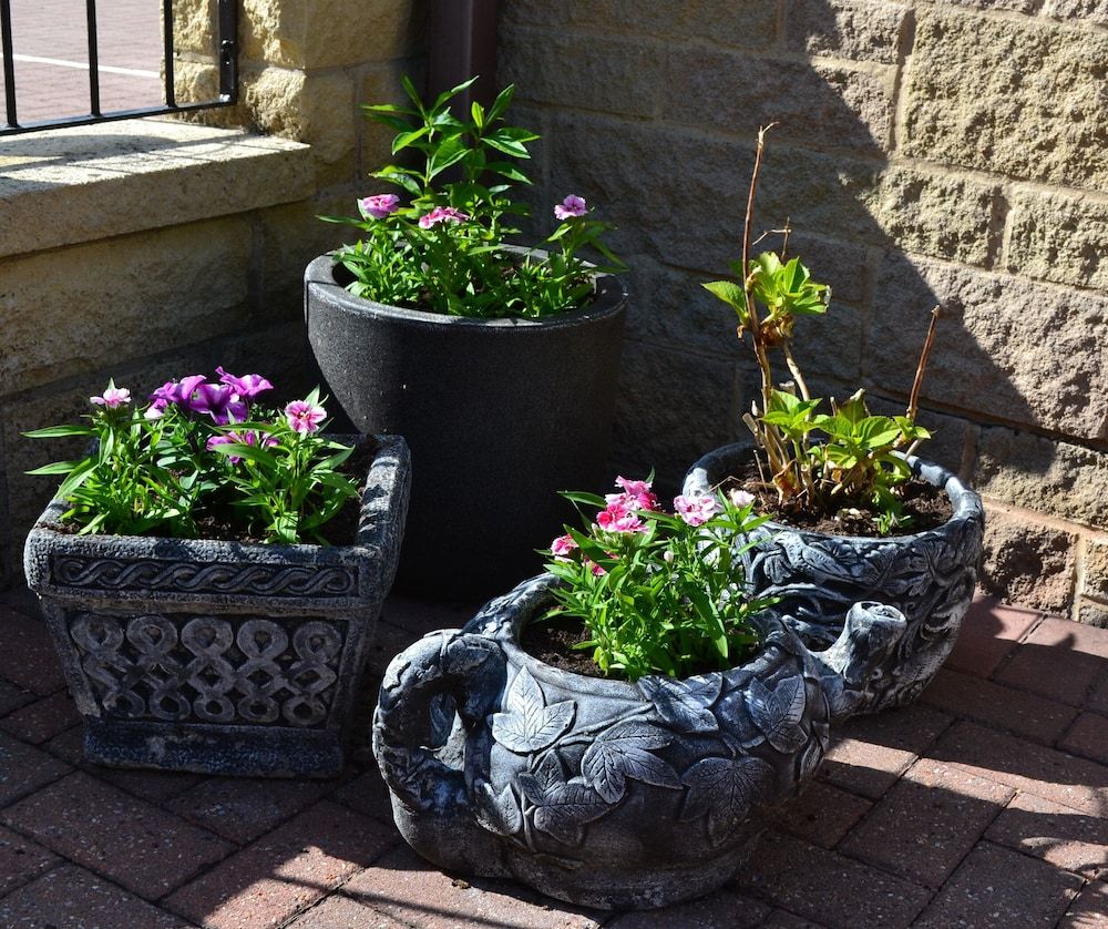 Castle Green Bed and Breakfast