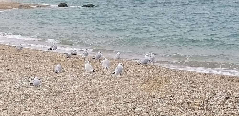 Villaggio Riva Musone