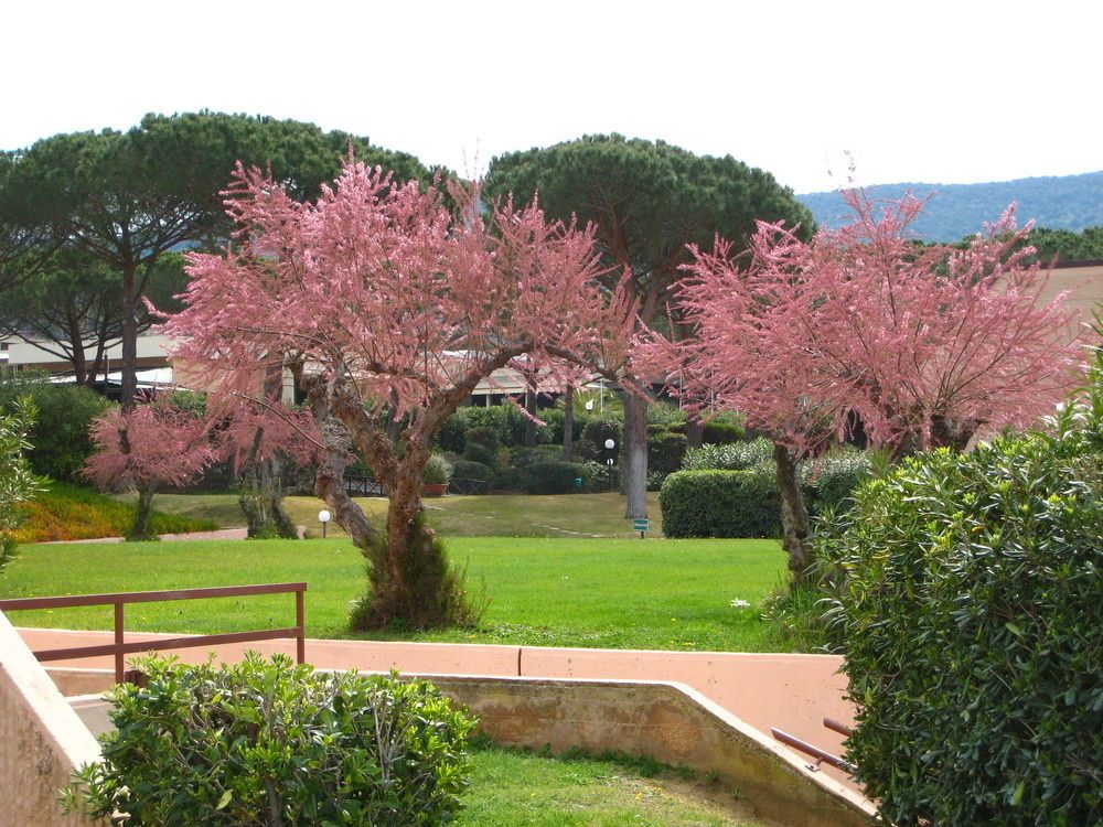 Residence Scoglietto 50
