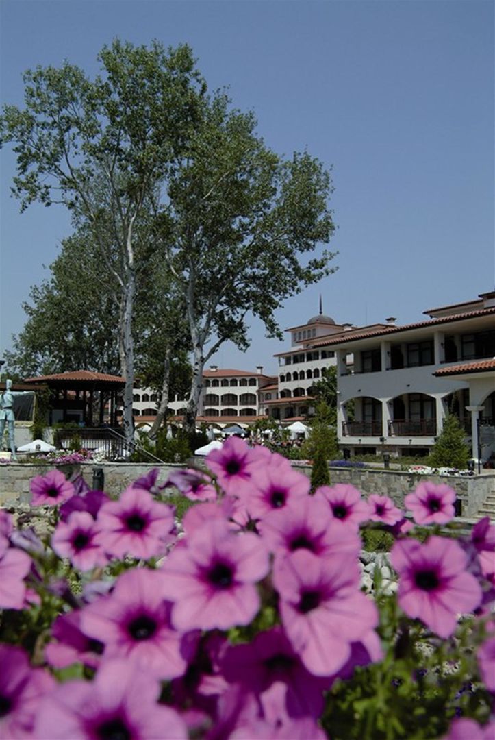 Helena Park