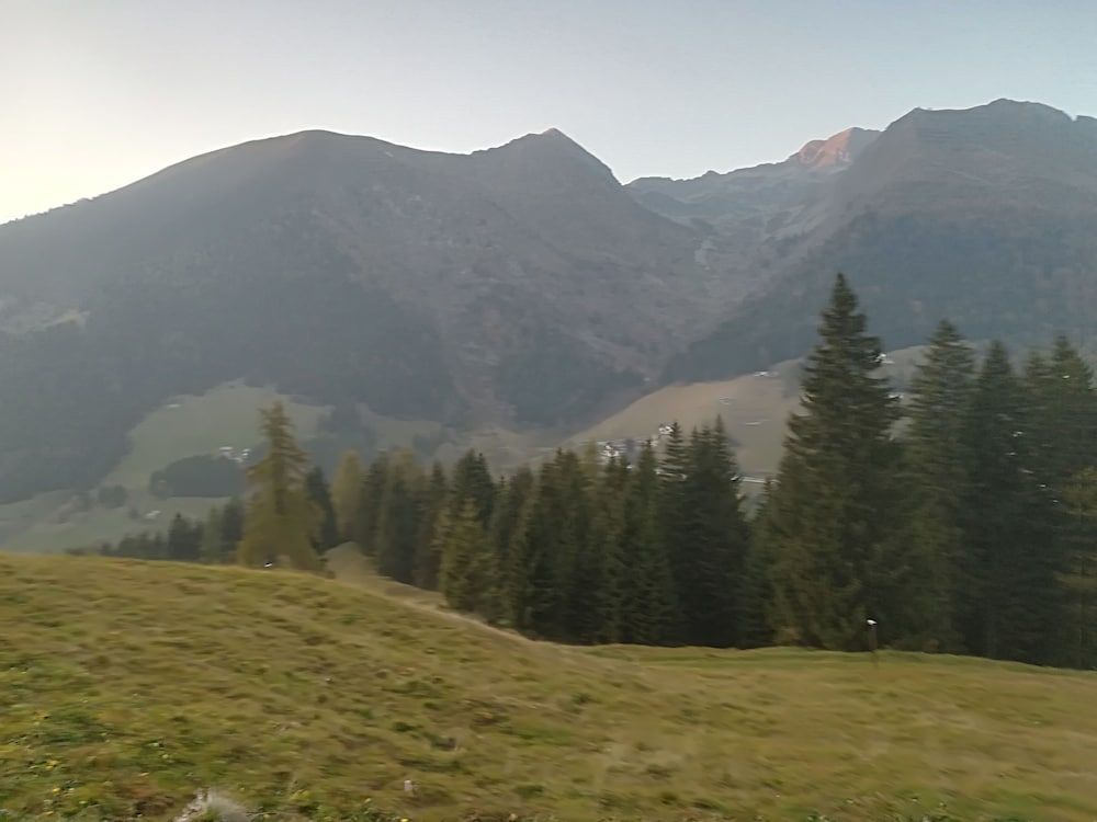 Hotel Adler Foppolo