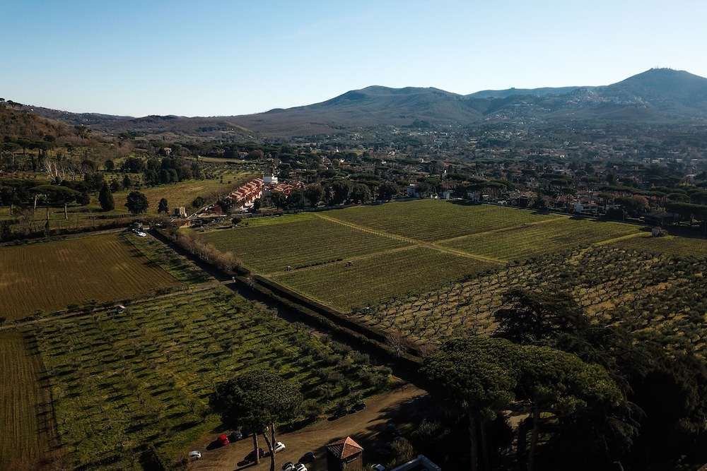 Villa Cavalletti