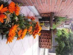 Bed & Breakfast La Siepe