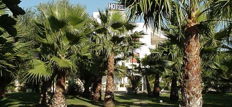 Hotel AL 2000