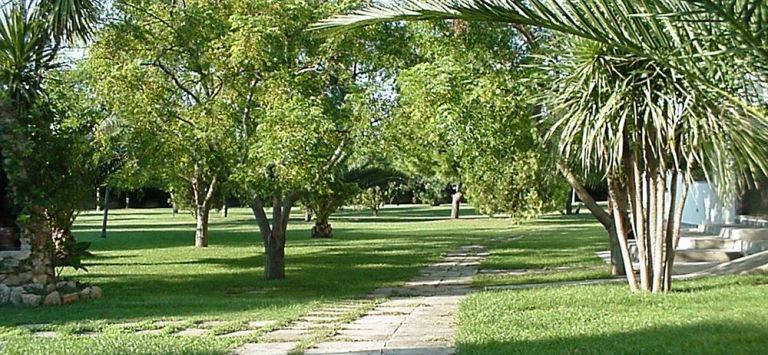 Hotel AL 2000